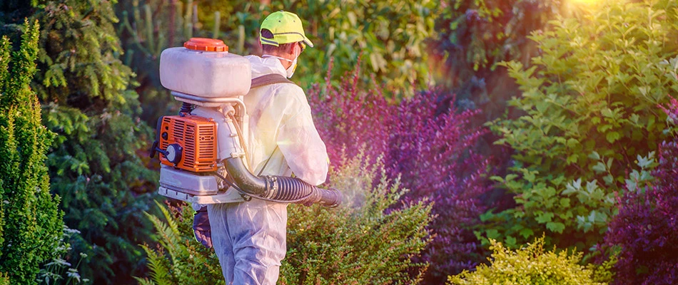 Our landscaper spraying for mosquito prevention by a home in Chester Springs, PA.