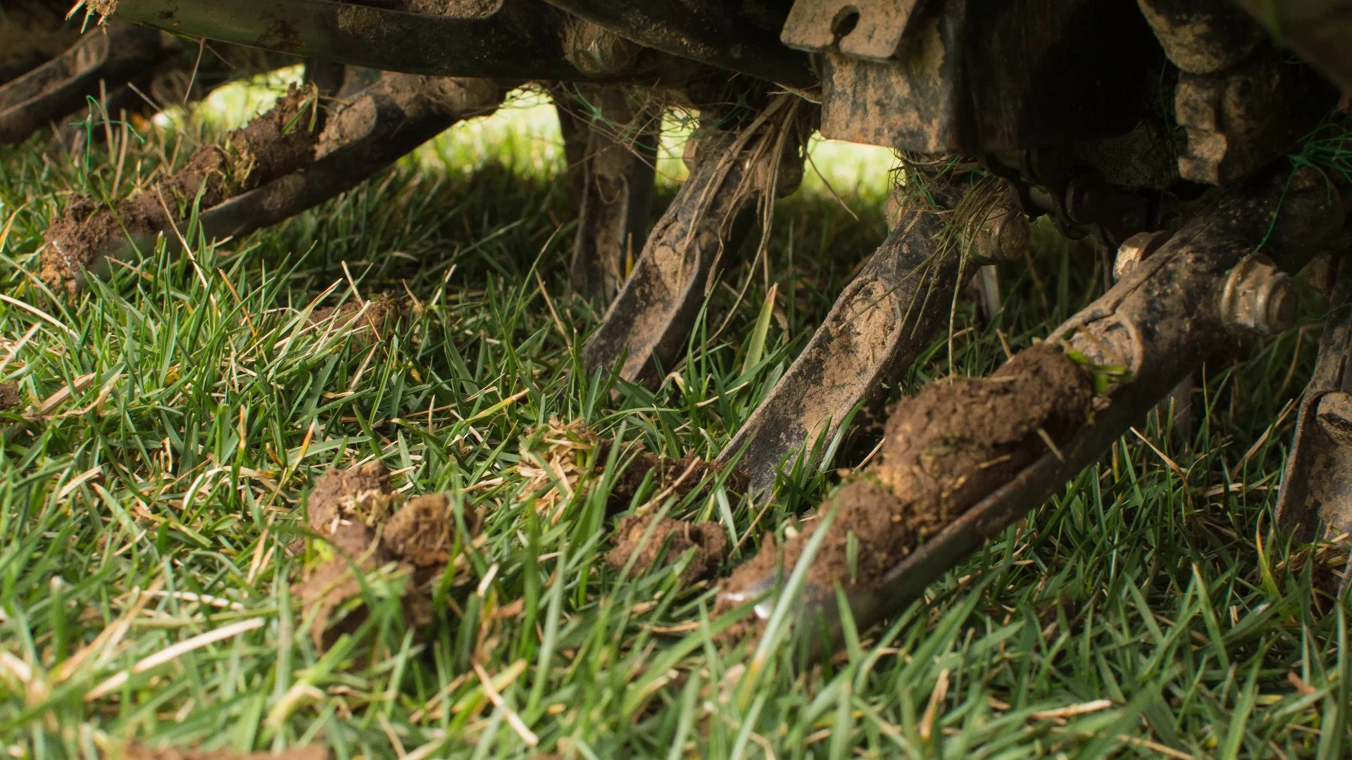 Care for Your Newly Aerated Lawn by Doing These Things