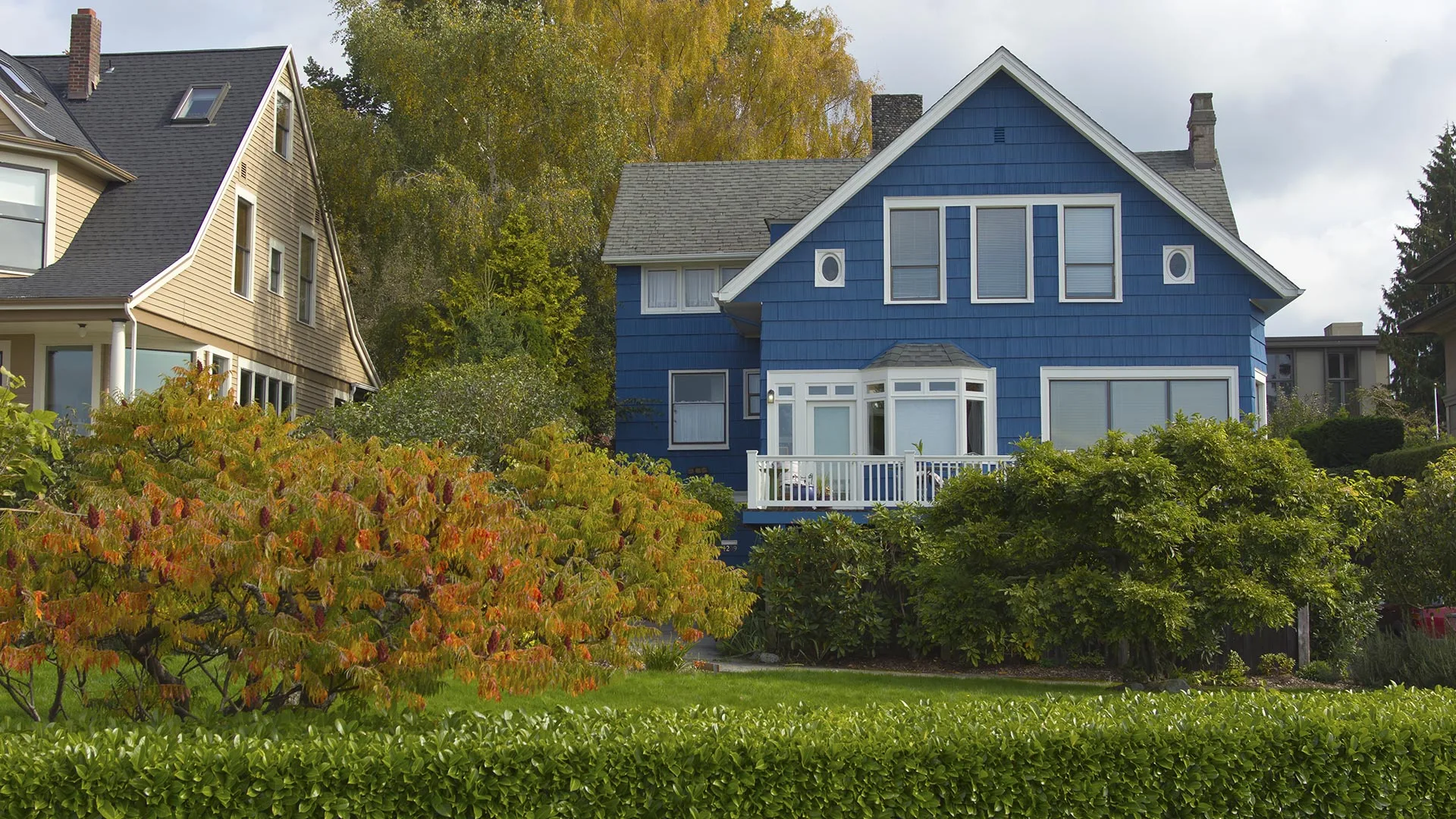 A blue home surrounded by healthy trees and shrubs due to regular care in Exton, PA. 
