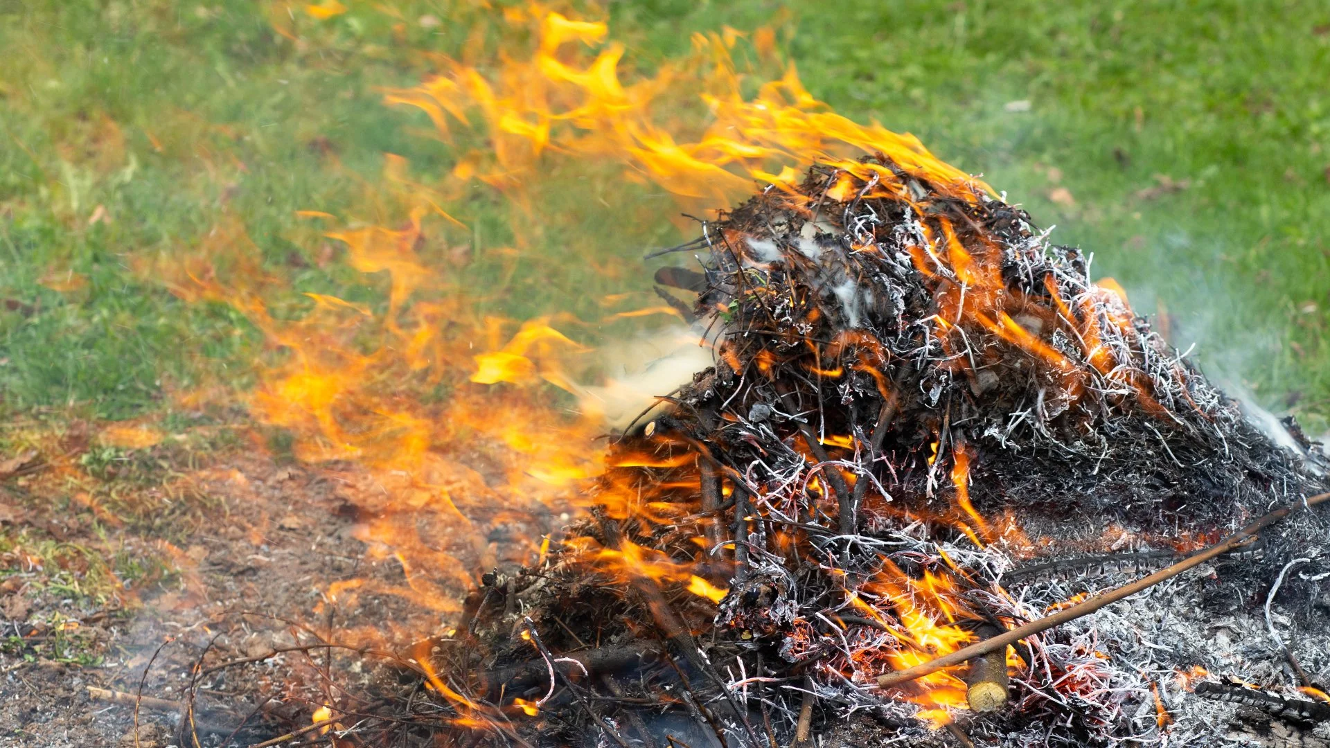 Is It Okay to Burn Leaf Piles in Pennsylvania?