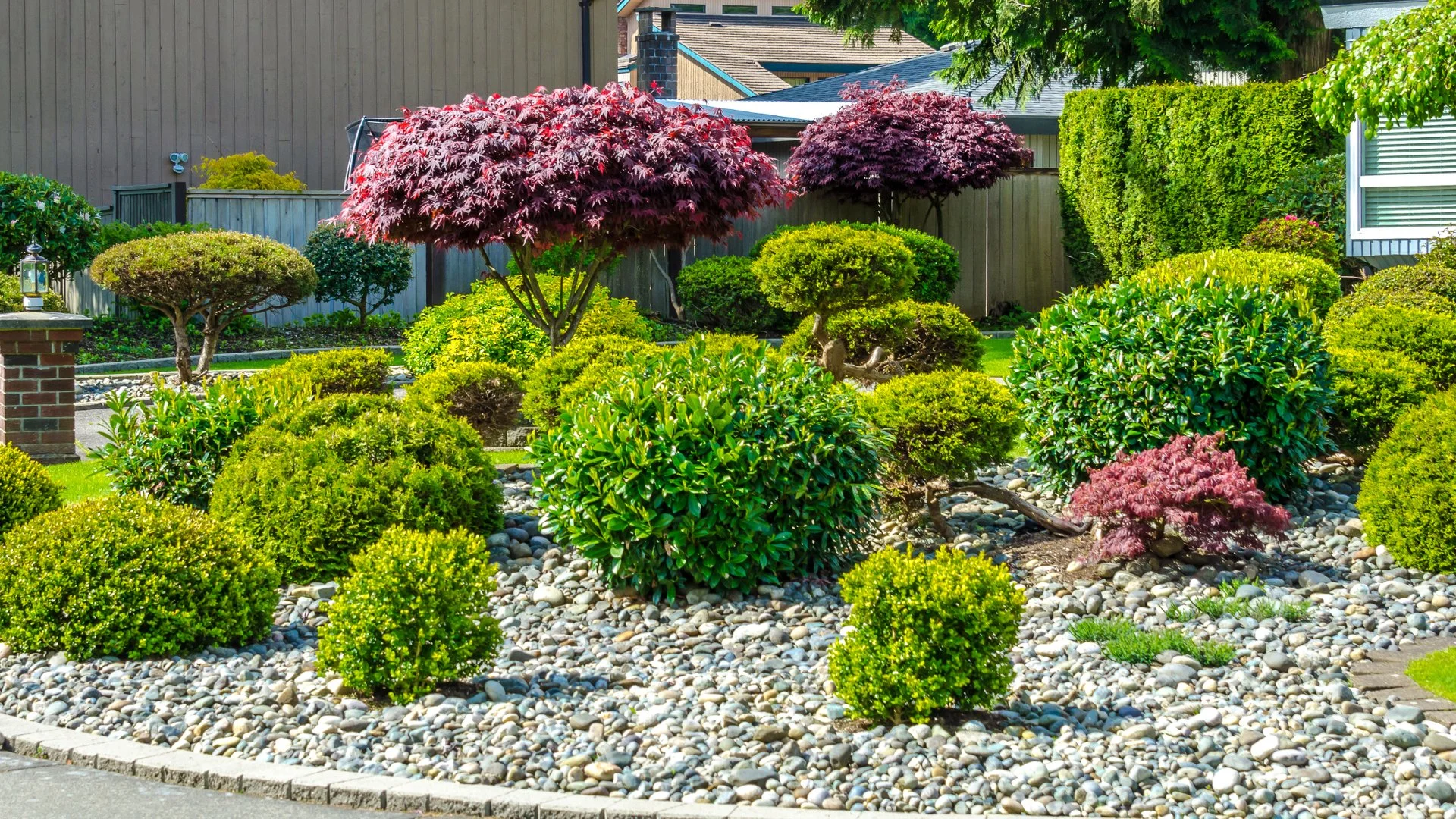 Don’t Make These Pruning Mistakes or You Could Harm Your Plants!