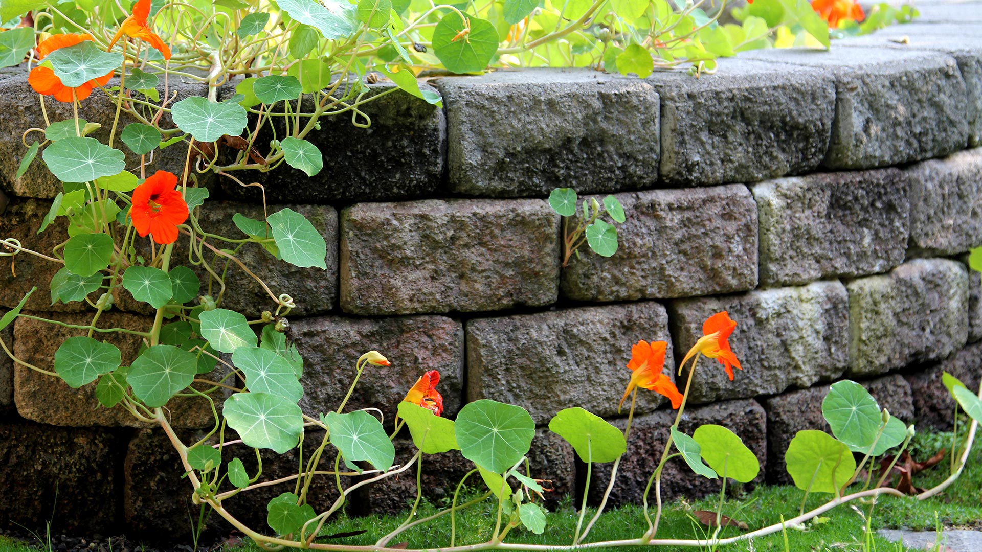 Your Sloped Property Shouldn't Go Another Day without a Retaining Wall