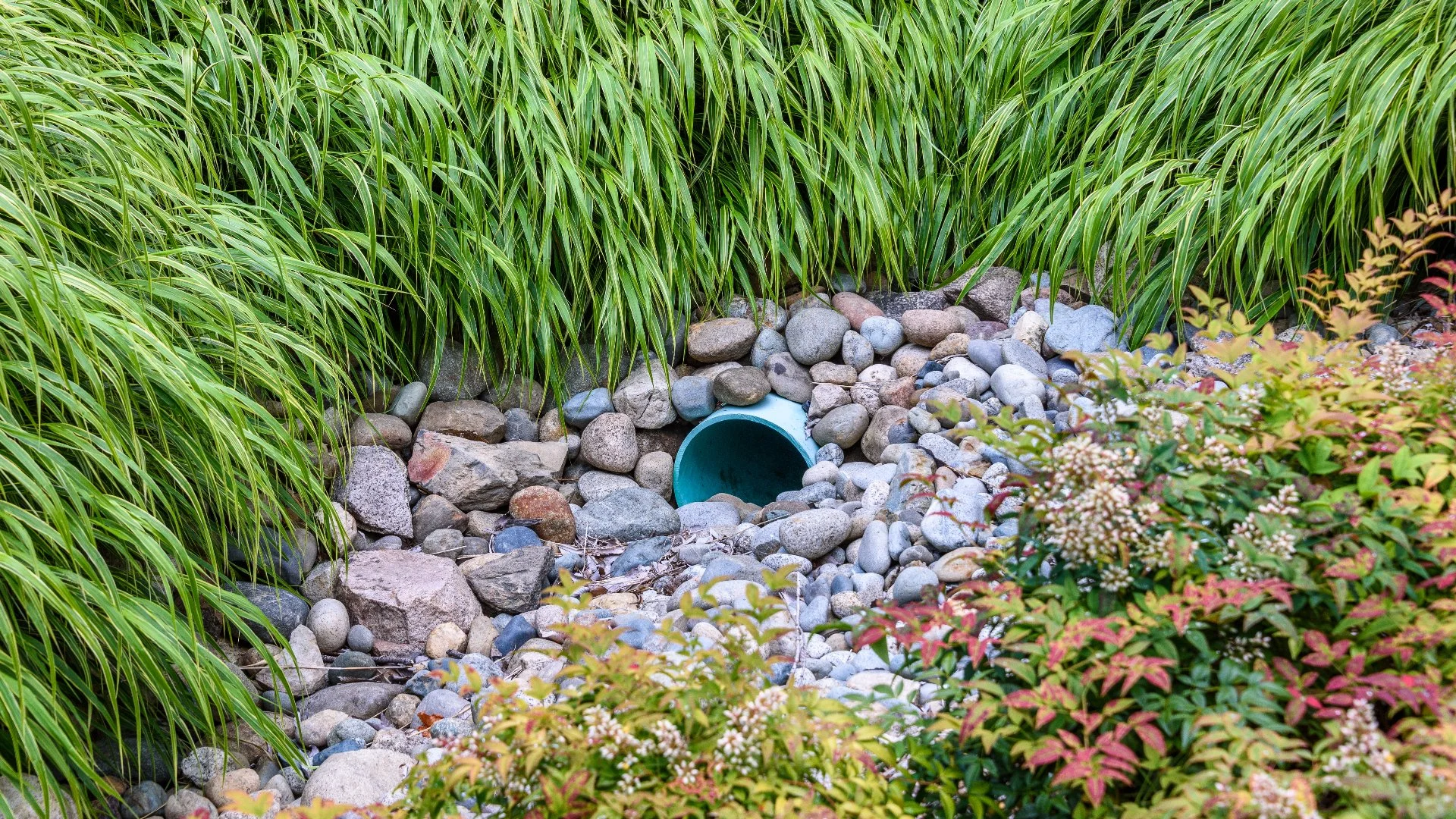 French Drains vs Dry Creek Beds - What’s the Difference & Which Is Better?