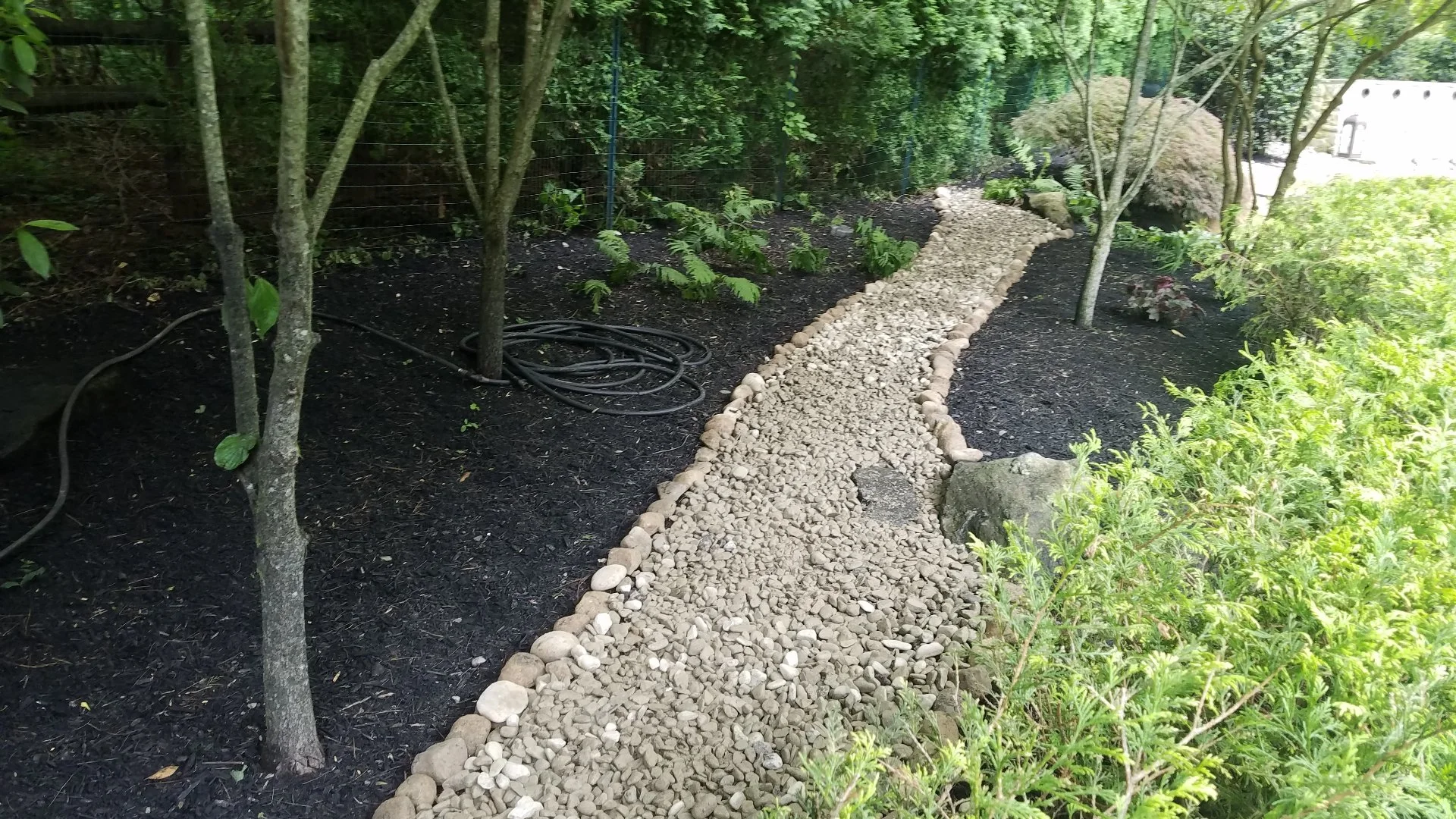 Should You Invest in a Dry Creek Bed for Yard Drainage?