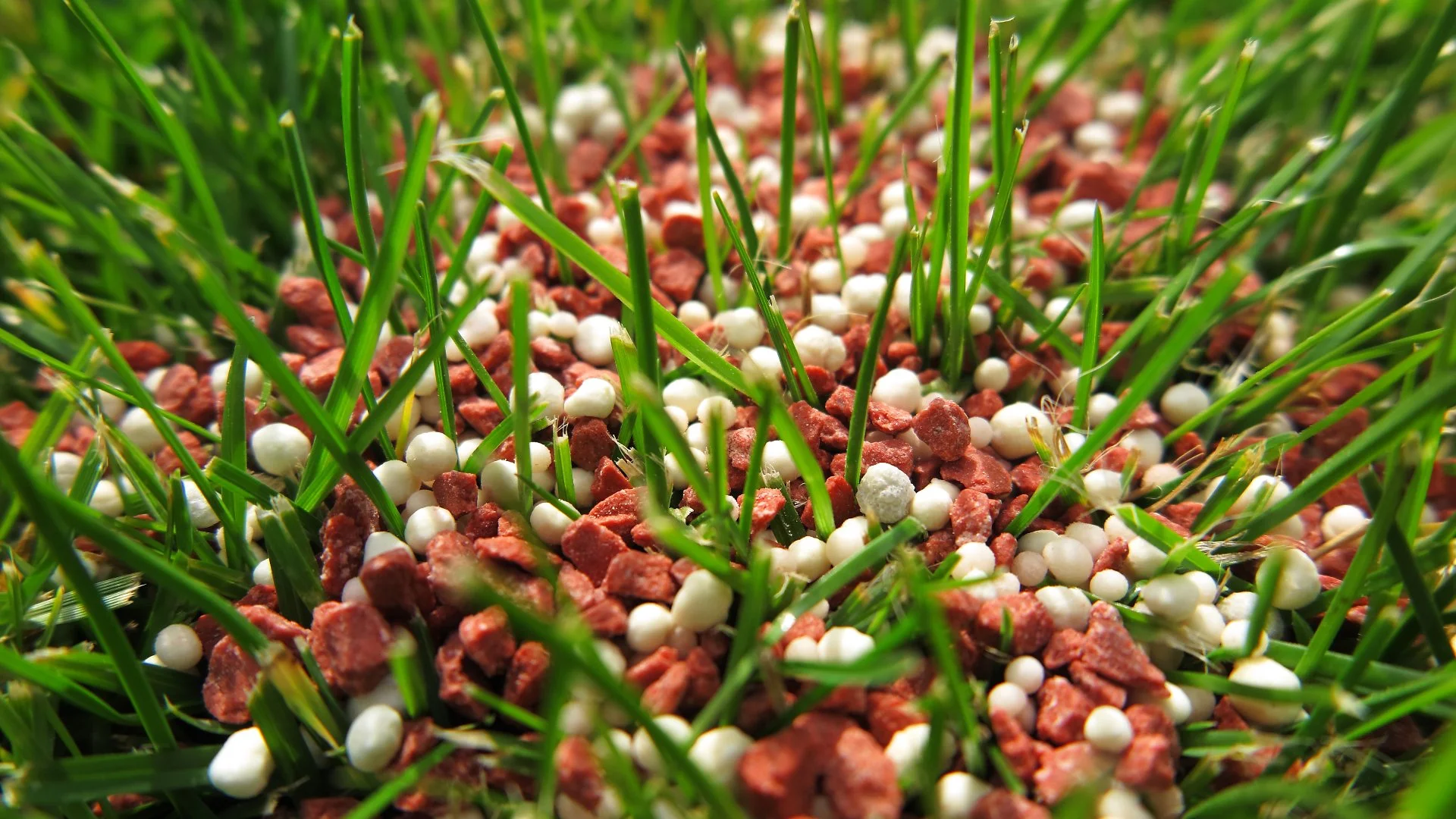 How Often Should I Fertilize My Lawn in Pennsylvania During the Fall?