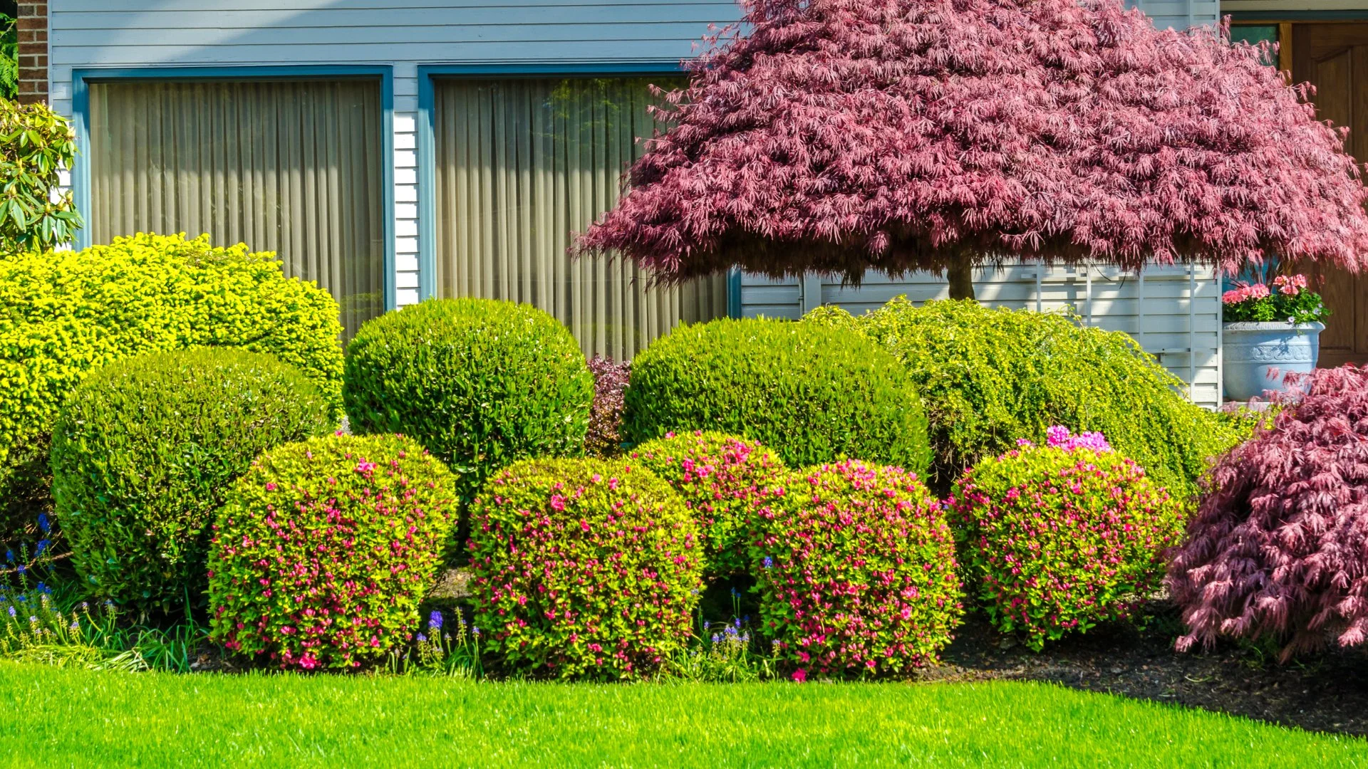 You Could Unknowingly Be Harming Your Plants by Not Pruning Them