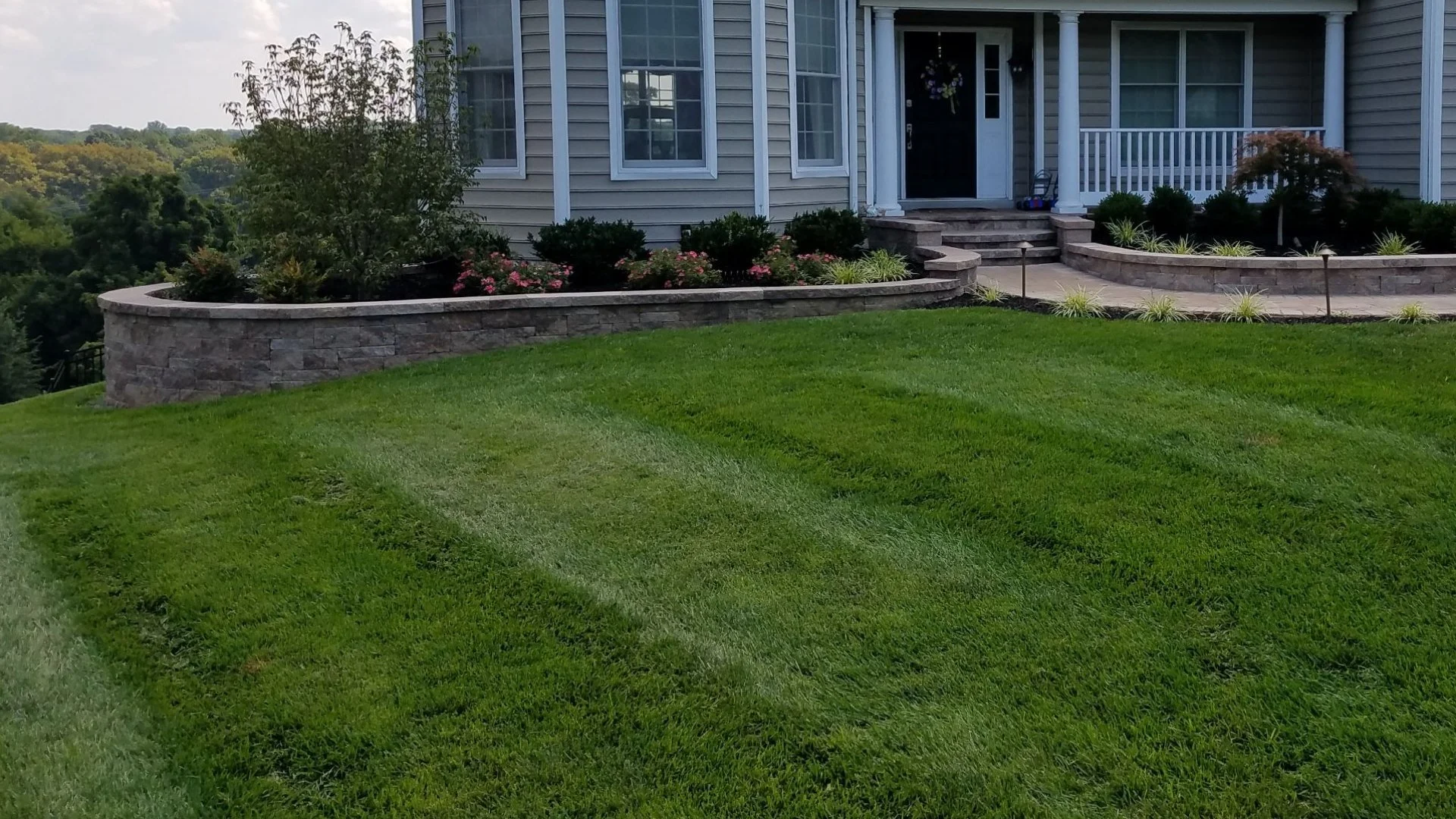 What Can Happen if You Overfertilize Your Lawn?