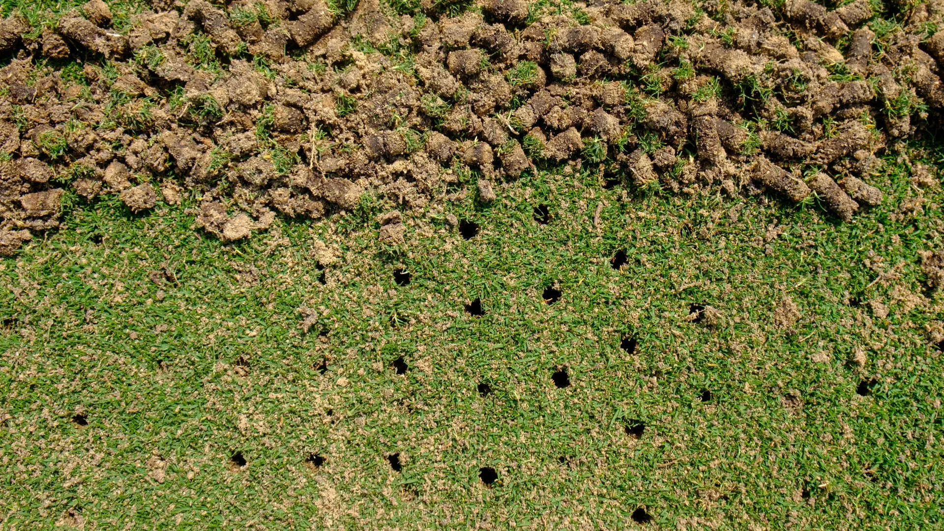 How Long Until You See Results From Core Aeration?