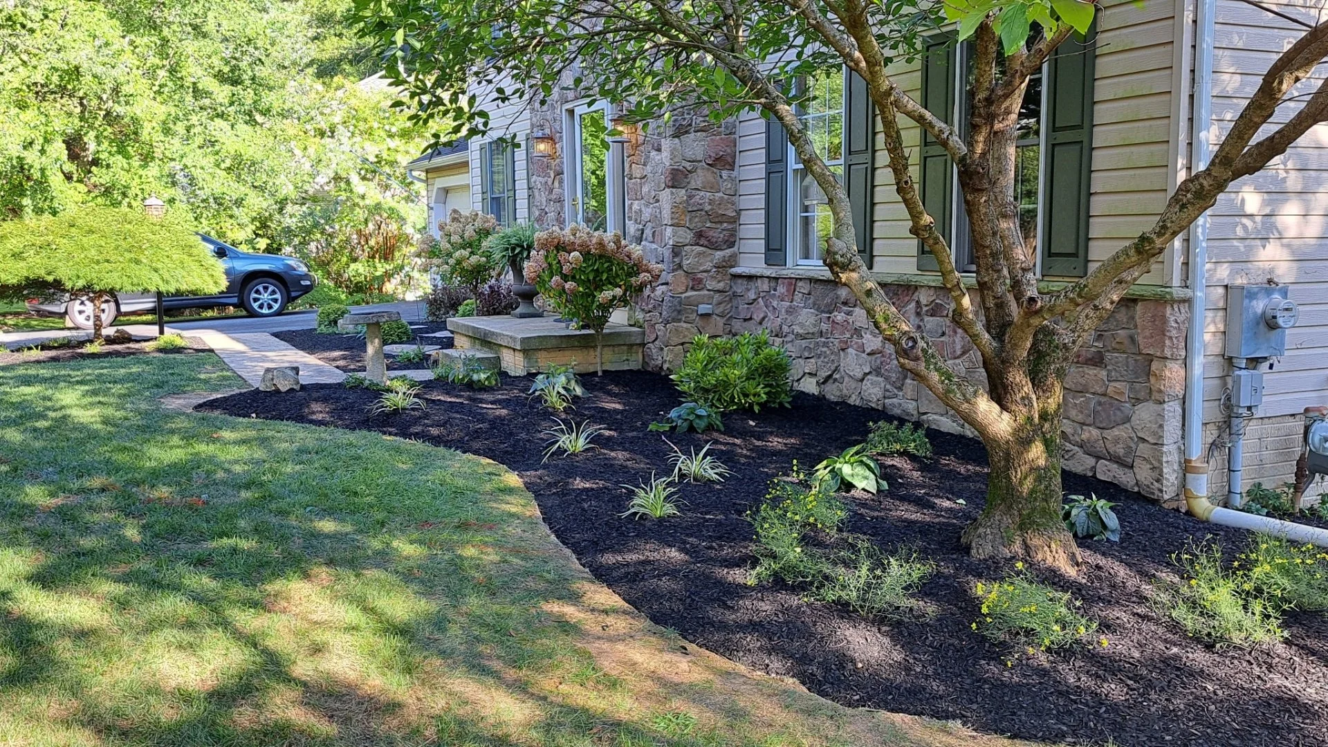Steps You Can Take to Renovate Your Landscape Beds