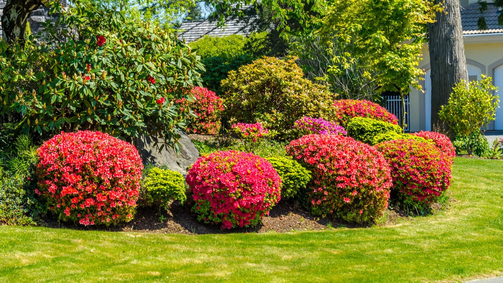 Don’t Try to Fertilize Your Plants Yourself - Hire Pros Instead