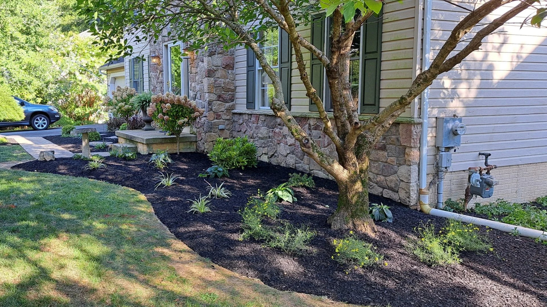 Add Depth to Your Landscape by Layering Plants!
