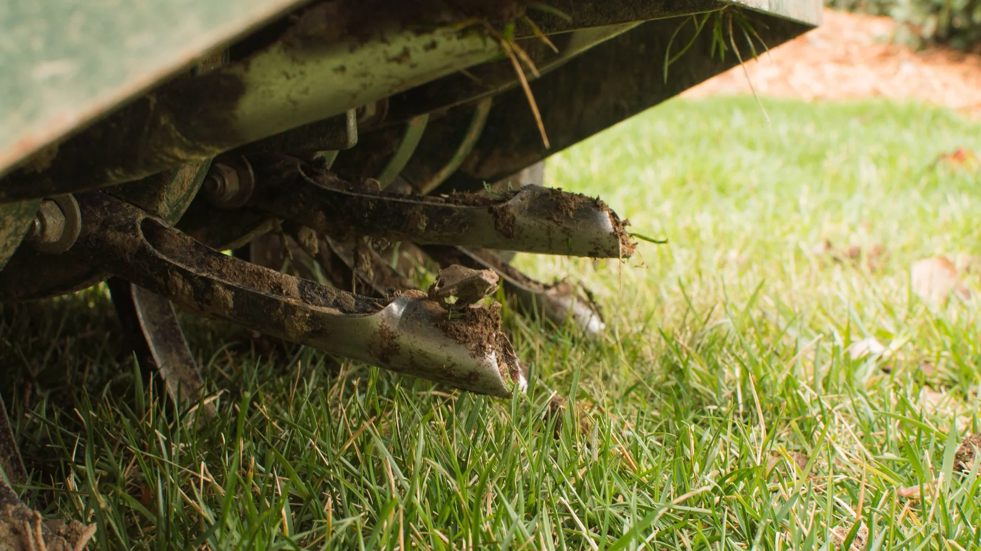 Take These Steps to Prep Your Lawn for Aeration