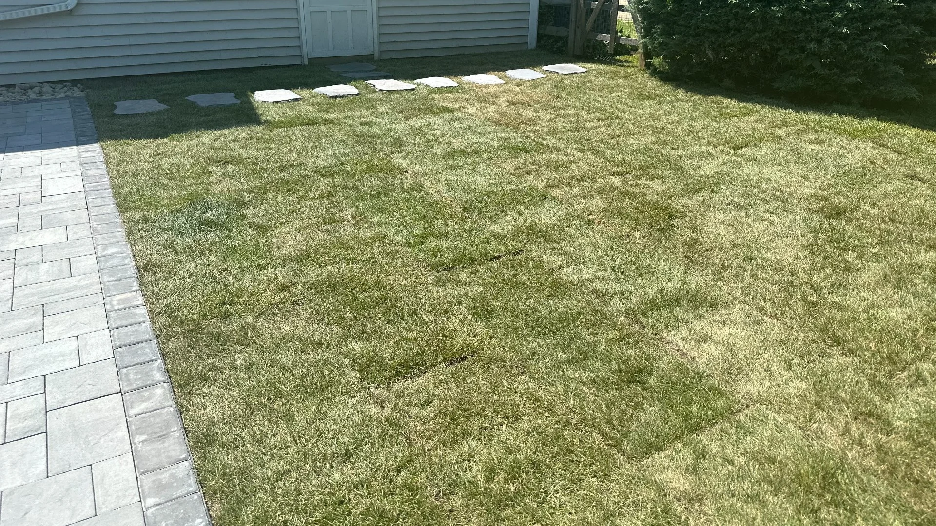 Will It Take a While for New Sod to Grow Roots?