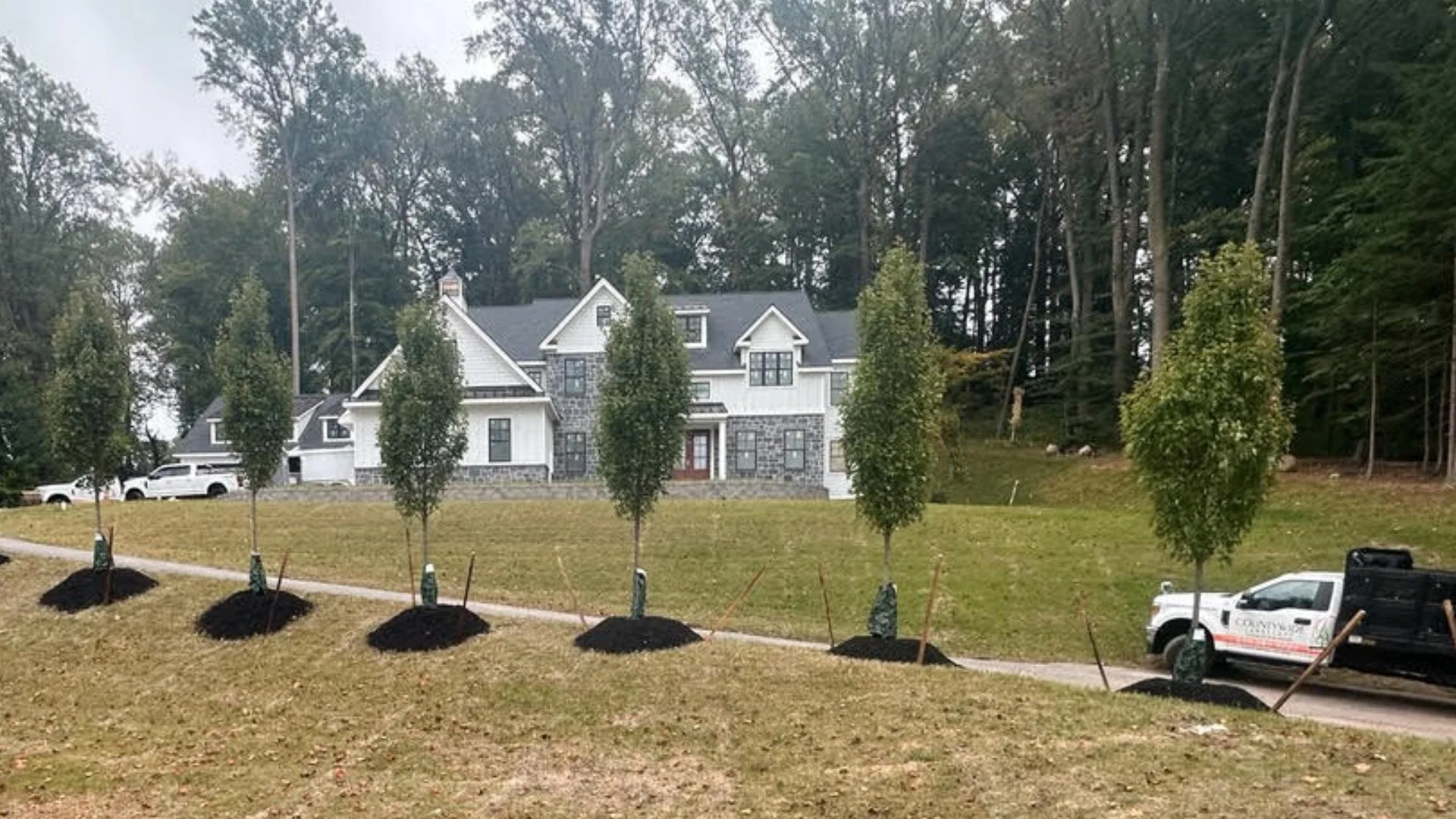 How to Properly Care for Your Trees Throughout the Year