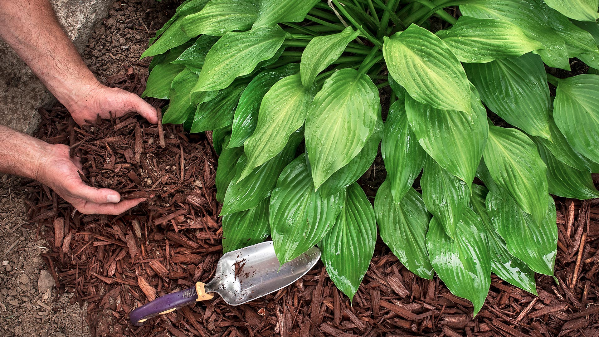 When Is the Best Time to Install Mulch in Pennsylvania?