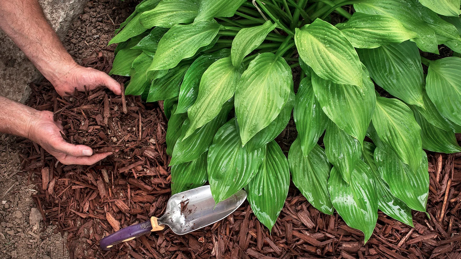 When Is the Best Time to Install Mulch in Pennsylvania?