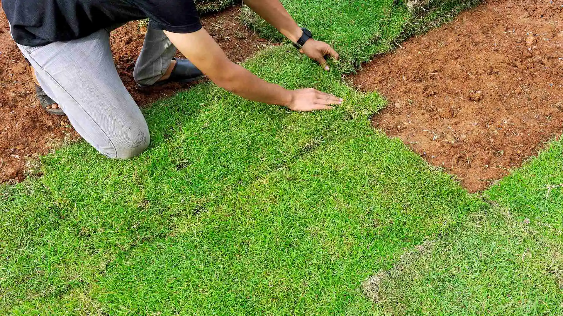 When is the Best Time to Install Sod in Pennsylvania?