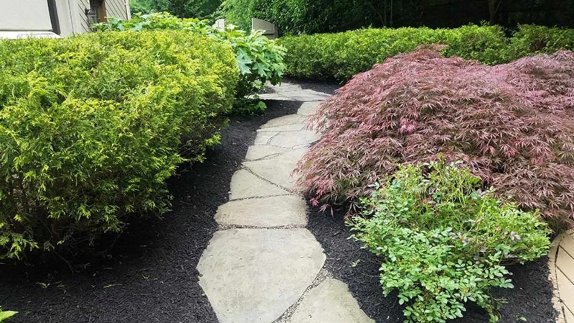 Give Your Plants a Strong Start This Spring With Fertilization!