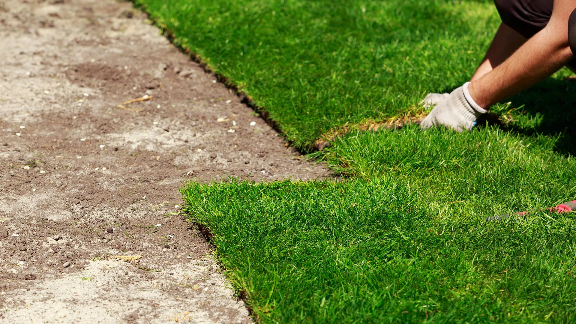 The Best Watering Schedule for Your Newly Installed Sod