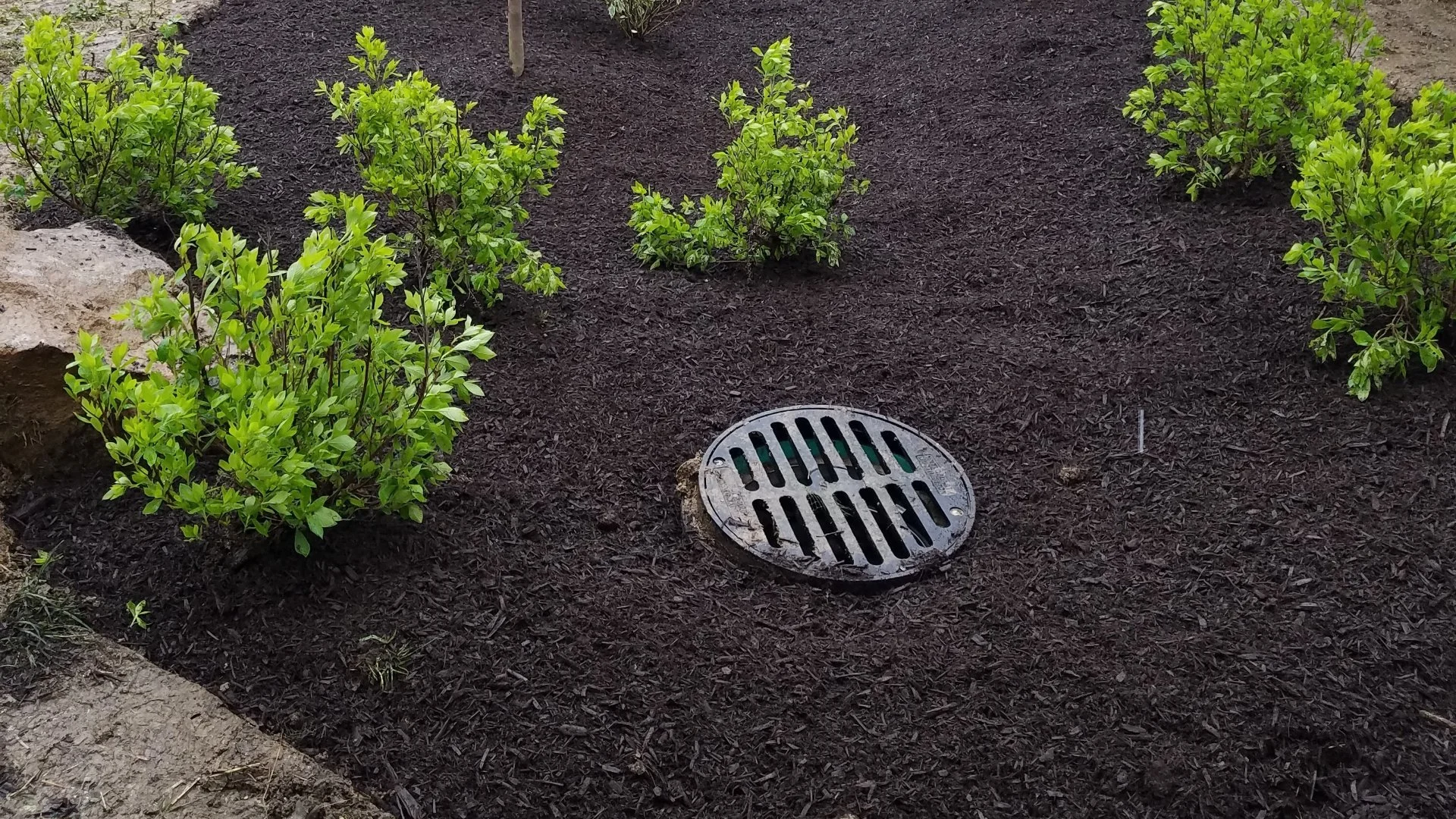 What Is the Purpose of a Stormwater Basin?