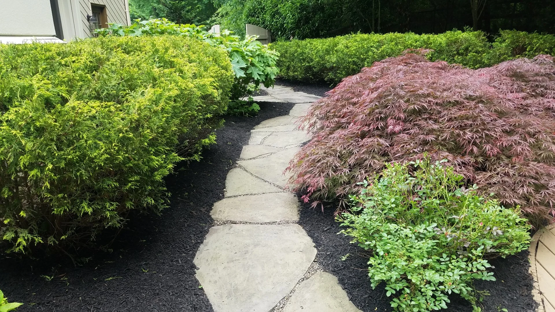 Do Your Tree & Shrubs Need to Be Fertilized
