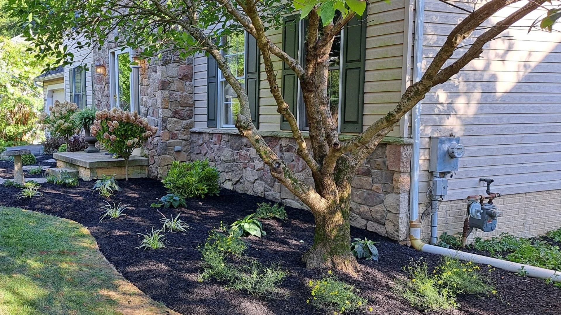 Popular Fertilization Methods to Use for Trees & Shrubs!