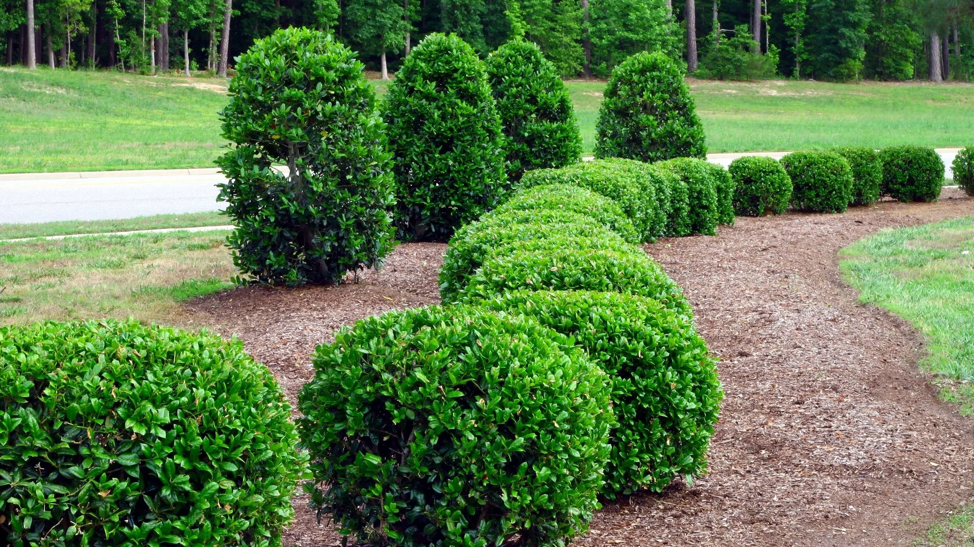 Trimming Your Plants Is a Great Way to Enhance Your Property’s Curb Appeal