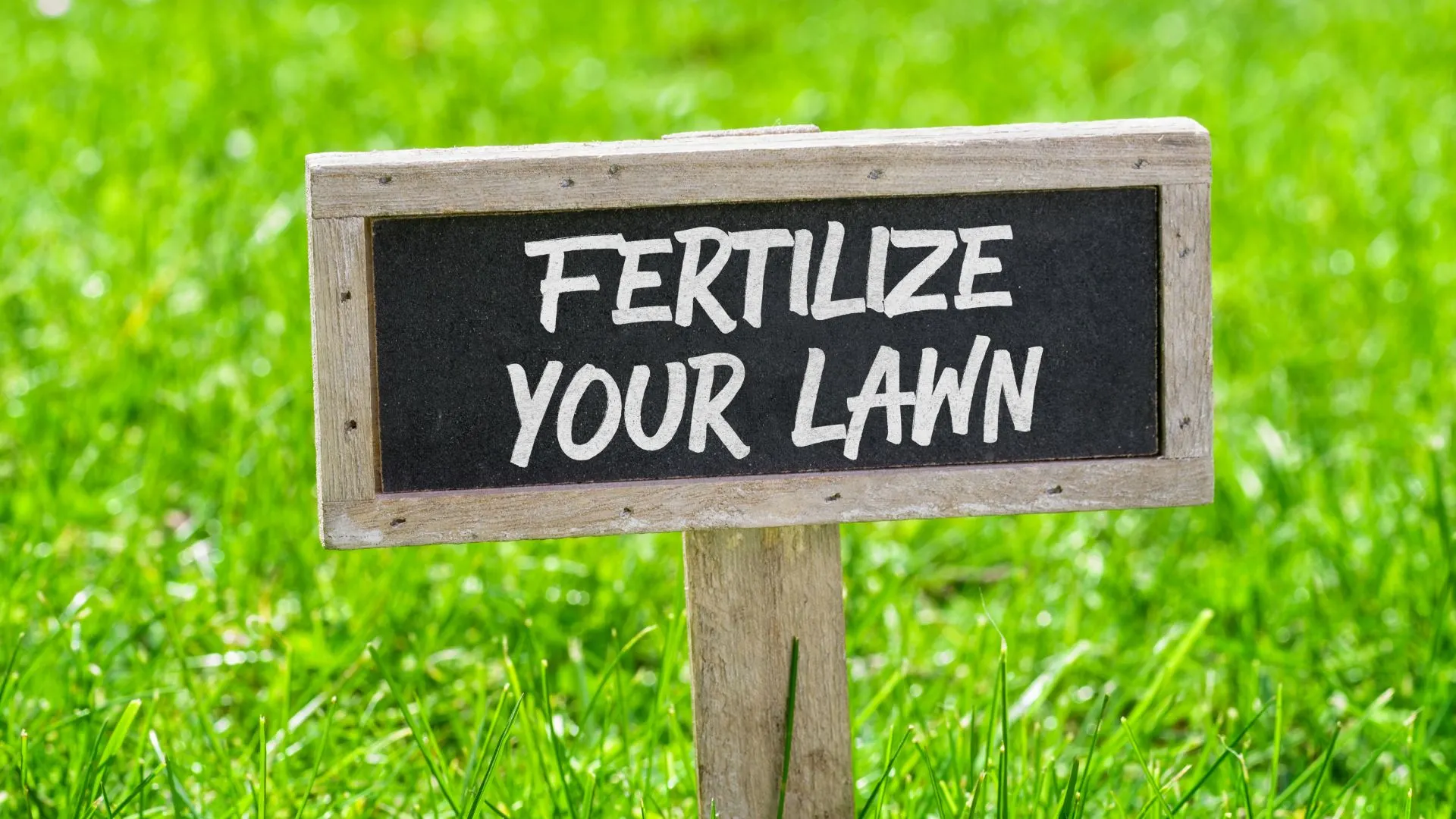 Here’s Why You Should Never Skip a Spring Lawn Fertilizer Treatment!