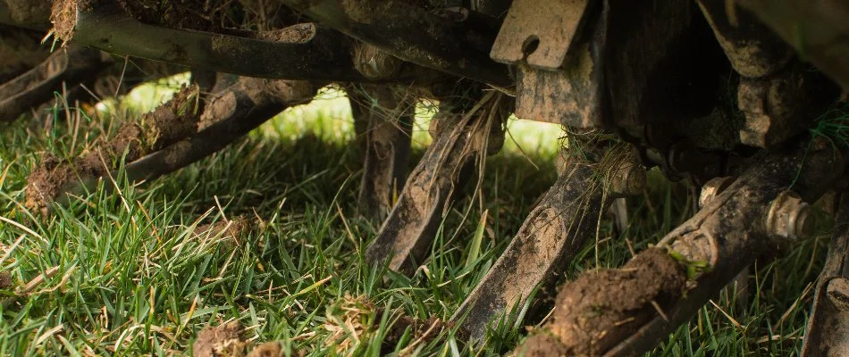 Aerator tines with soil on a lawn in West Chester, PA