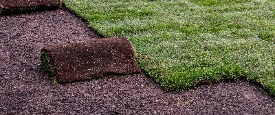 Bare dirt and newly placed sod in West Chester, PA.