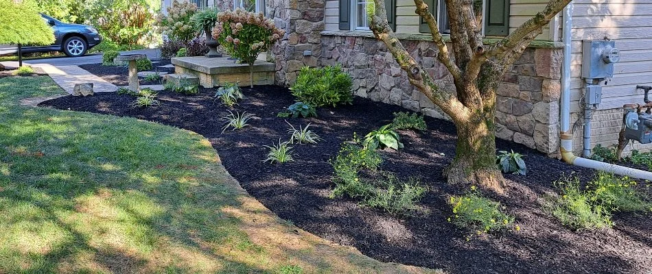 Fresh mulch on a landscape bed in West Chester, PA.