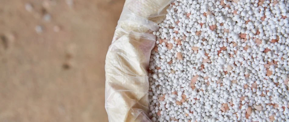 Granular fertilizer in a sack in West Chester, PA.