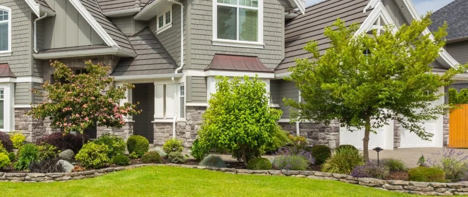 Healthy trees and shrubs in a yard in West Chester, PA.