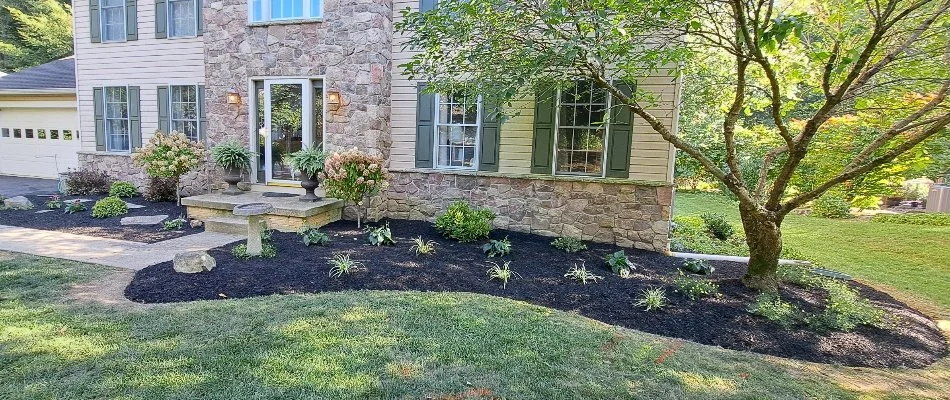 Landscaping in front of a house in West Chester, PA, with a tree, flowers, and small plants.