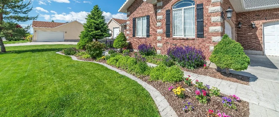 Lawn next to a landscape bed in West Chester, PA, with colorful plants.
