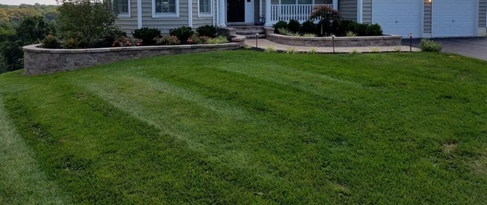 Mowing stripes on a lawn in West Chester, PA.
