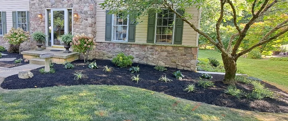 Mulched landscape bed in West Chester, PA, with plants, flowers, and a tree.