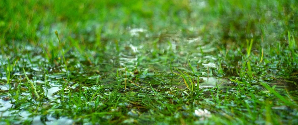 Puddle on a lawn in West Chester, PA.