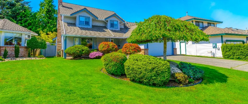 Small landscape bed on a lawn in West Chester, PA, with a tree and plants.