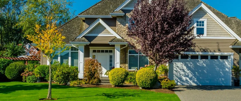 Trees and shrubs in a yard in West Chester, PA.