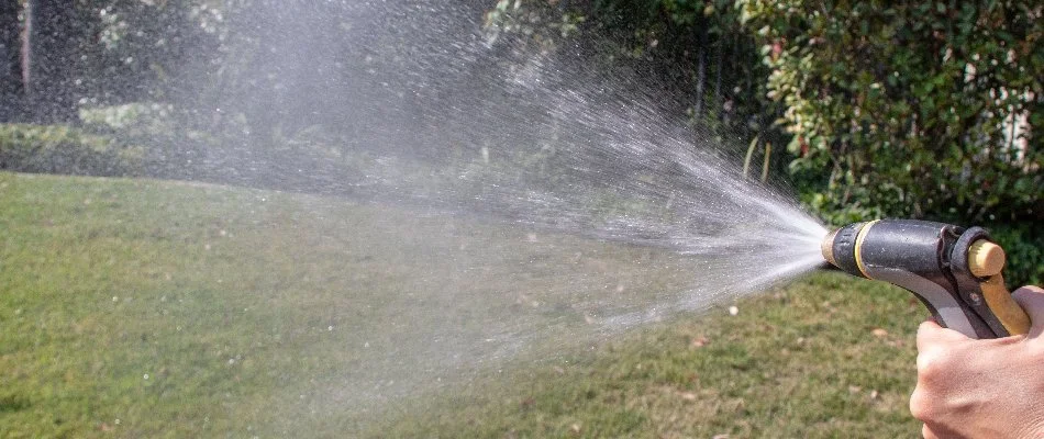Watering a lawn in West Chester, PA, with garden hose.