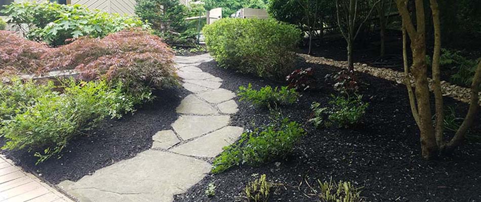 Landscape bed cleared and cleaned during a fall cleanup in Downingtown, PA.