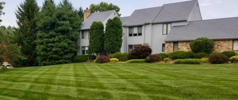 Healthy, green lawn on a property in West Chester, PA.