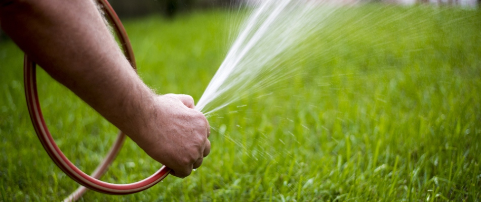 Homeowner hand watering excessively their new sod in the summer time in Exton, PA.