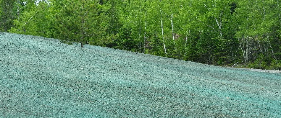Lawn after hydroseeding on a property in West Chester, PA.