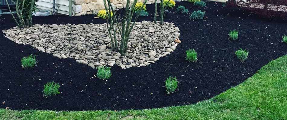 Dark mulch and rocks in a landscape bed near West Chester, PA.