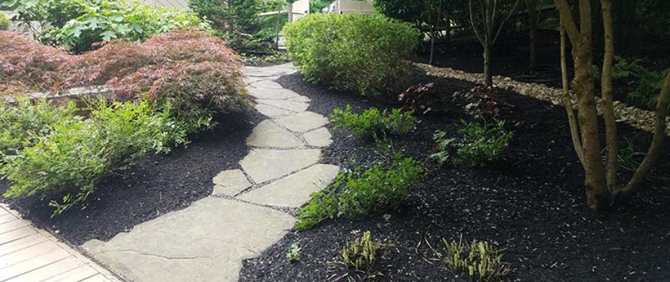 Mulch replenished for landscape beds after yard cleanup services in Malvern, PA.