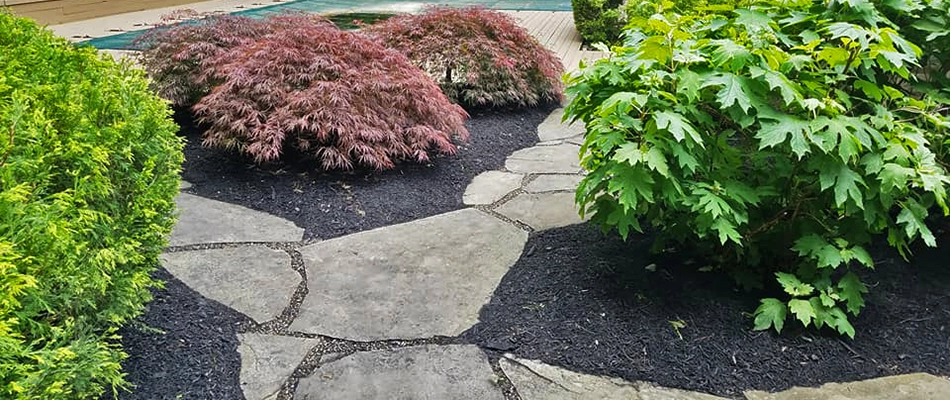 A landscape bed of various bushes complete with a flagstone walkway by a home in Delaware County, PA.