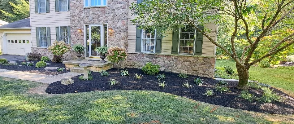 Plants and a tree in a front landscape in Malvern, PA.