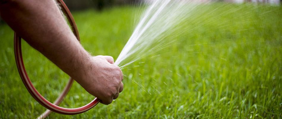 Our recent client watering his new lawn in Exton, PA. 
